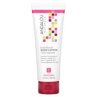 Andalou Naturals, 1000 Roses, успокаивающий лосьон для тела, роза, 236 мл (8 жидк. унций)